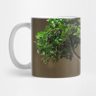 Plant Mug